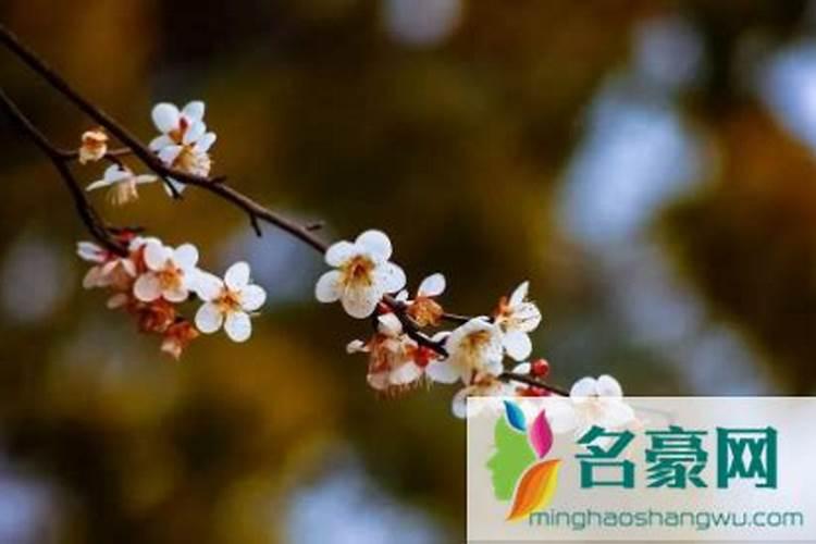 今年什么时候立春
