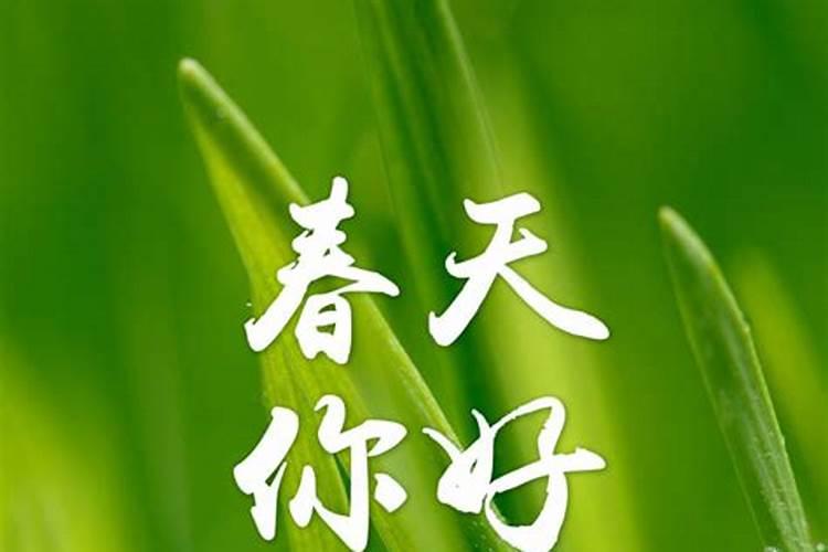 今年几号立春