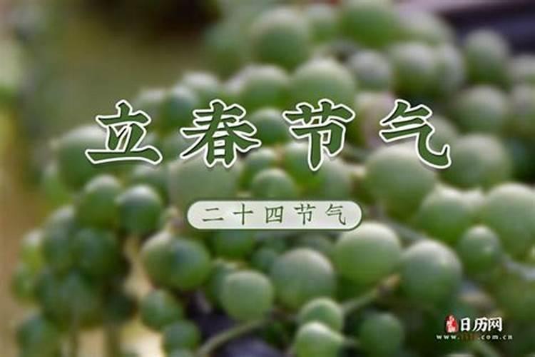 2024年打春躲春的四个属相2024年打春什么属相需要躲春