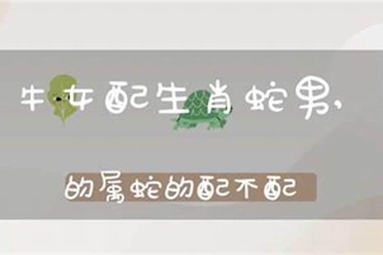 生肖属相不合,生辰八字合可以结婚吗？