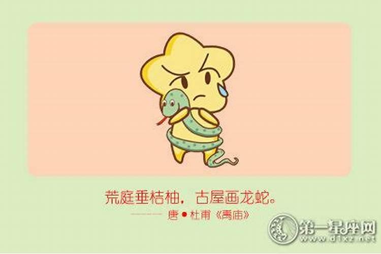 77年的蛇12月份运气怎么样
