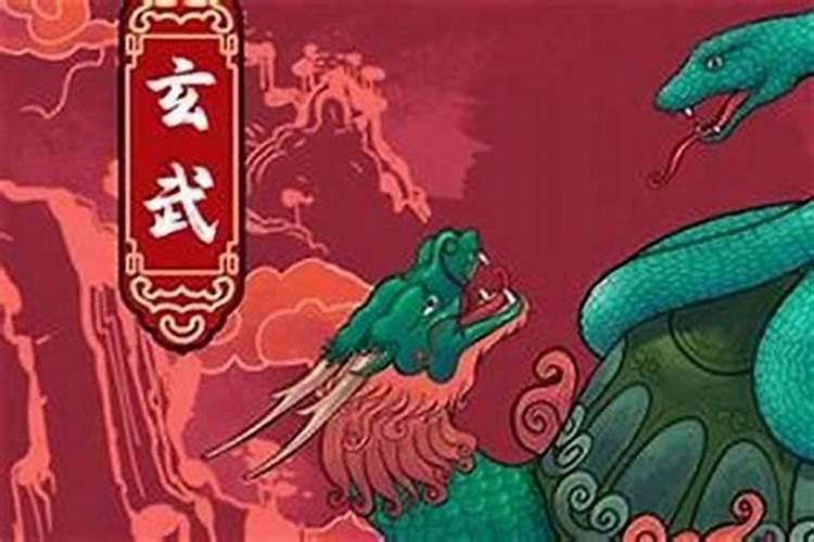 77年女蛇2024年运势及运程每月运程