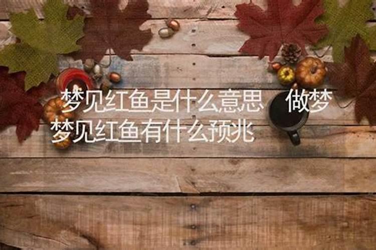 女人梦见红鱼在水里游,梦见鱼是什么预兆？