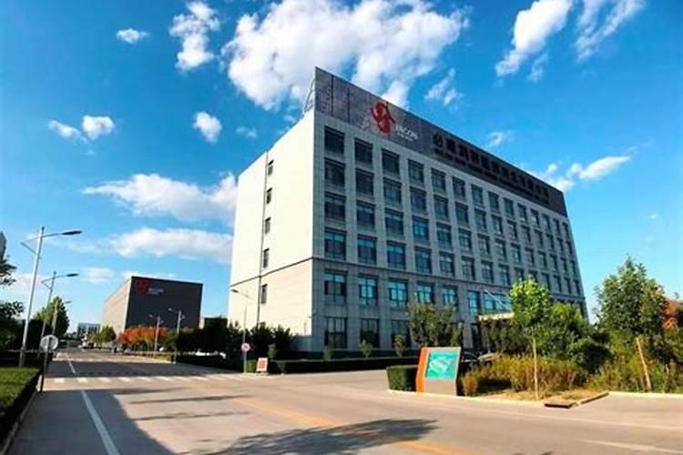 龙抬头的习俗有哪些