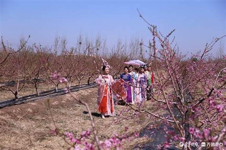 1982年属狗女2025年桃花运好吗