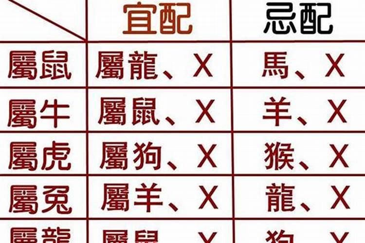 哪些属相是相克的相克如何化解？