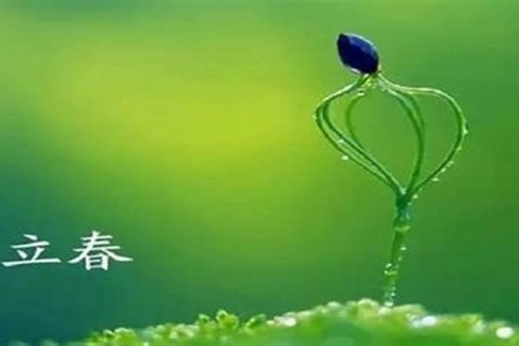 2025年重阳节是几月几日