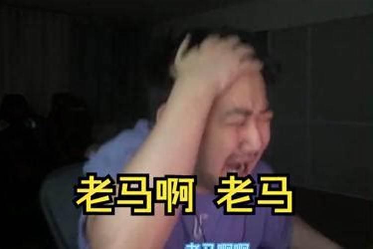 梦见马是什么意思