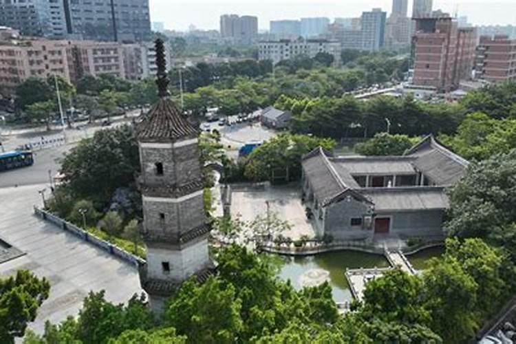 长得丑是什么原因