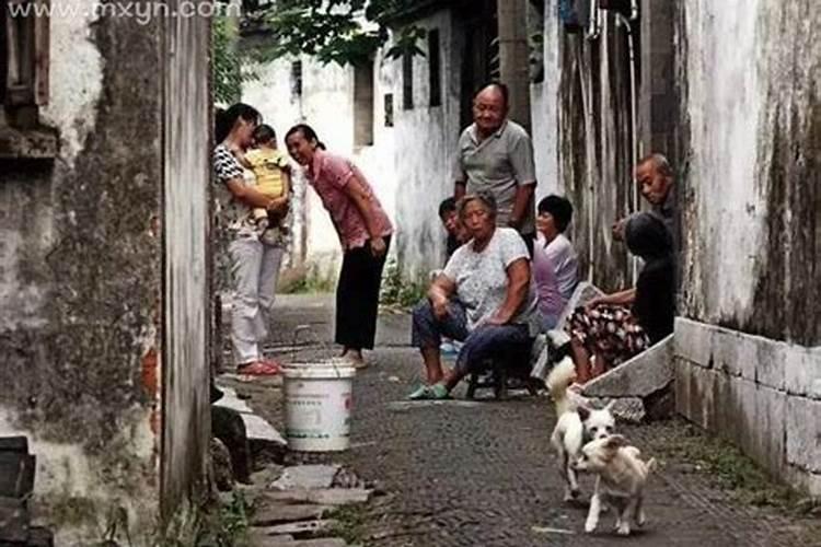 请问生肖猪1995年农历十一月出生的是什么命？