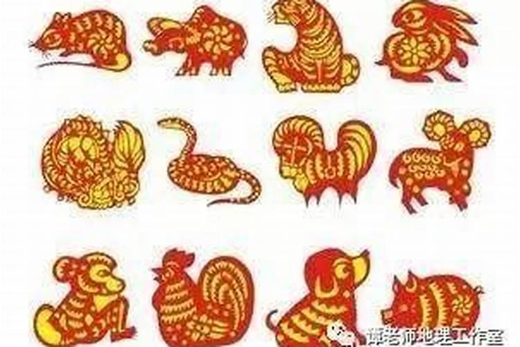 属牛的冬天出生好吗