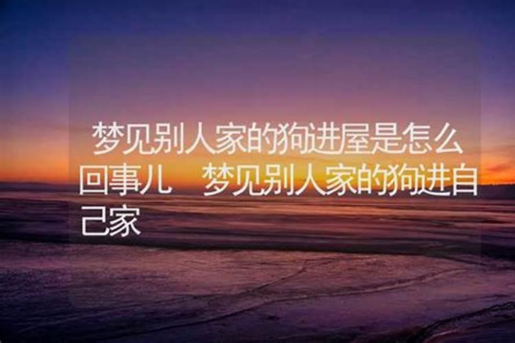 属猪值太岁是什么意思