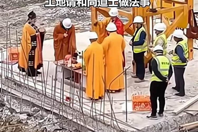 生肖蛇1977年2025年运势如何 生肖蛇1977年2025年全年运势