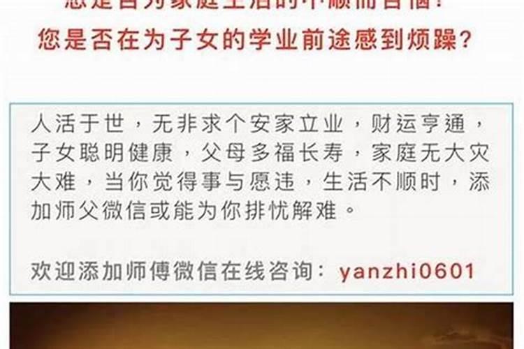 1978年属马人在2025年的运势