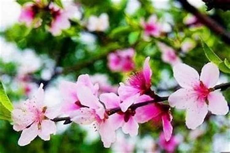 破解男人桃花运的方法