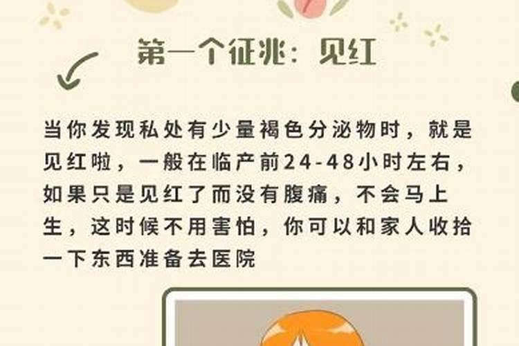 七夕节和情人节的区别