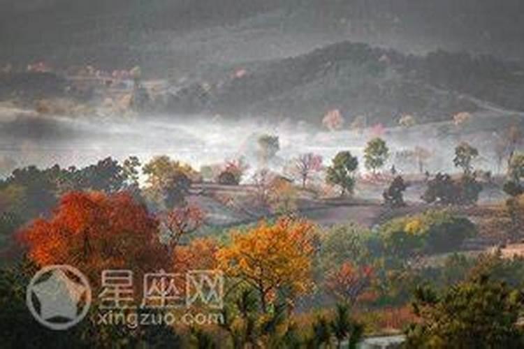 二十四节气立夏之后是什么