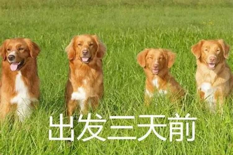 镇江不一样的风俗作文500