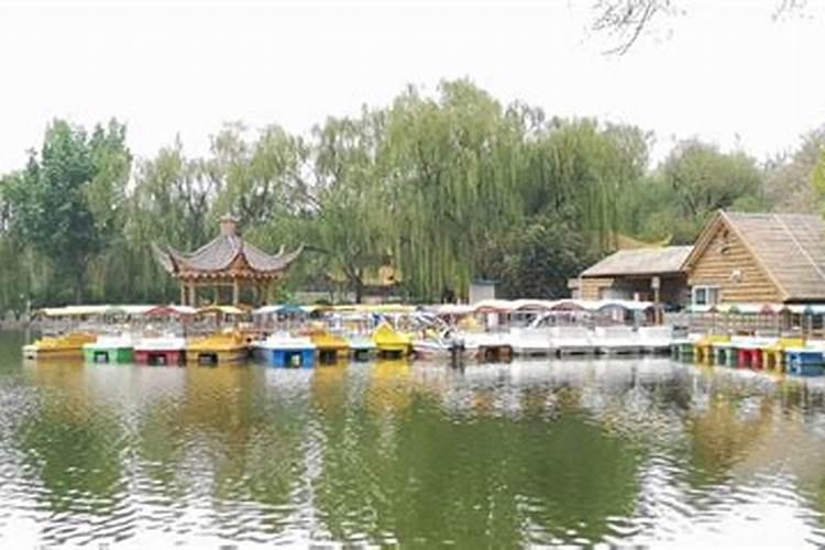 正月十五廊坊灯会在哪