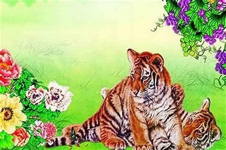 生肖鸡2005年2025年运势如何 生肖鸡2005年2025年全年运势
