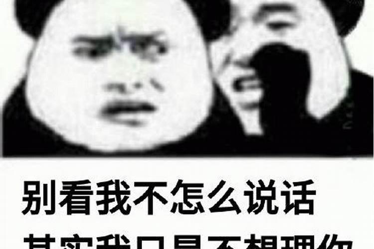 梦见别人不理自己
