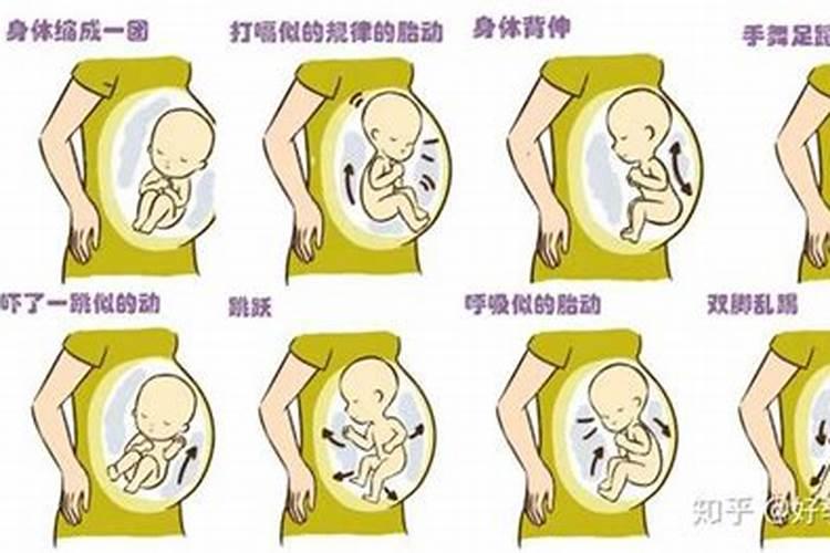 怀孕几个月才禁止打胎