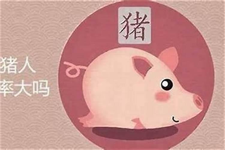 83年属猪人2025年及以后的运势