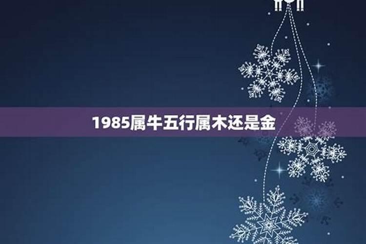1985年属牛是金命还是木命 一生运势详解？