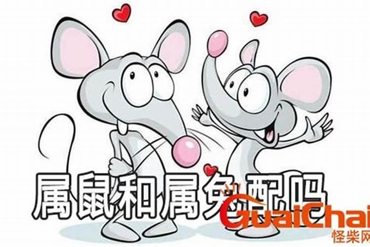 84年鼠,87年兔,可以合婚吗？