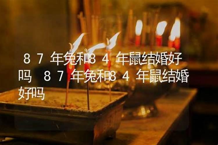 1984年鼠和1987年兔合婚吗？