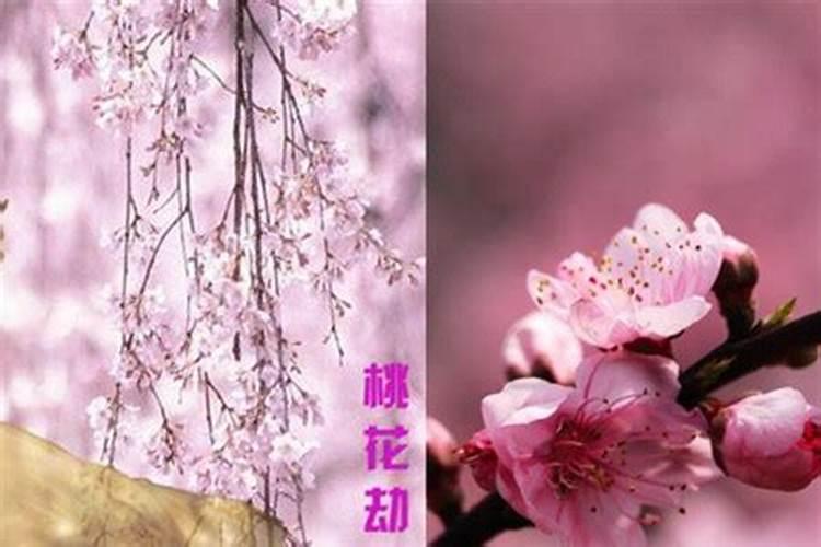 已婚女梦到老公出轨离婚预示什么