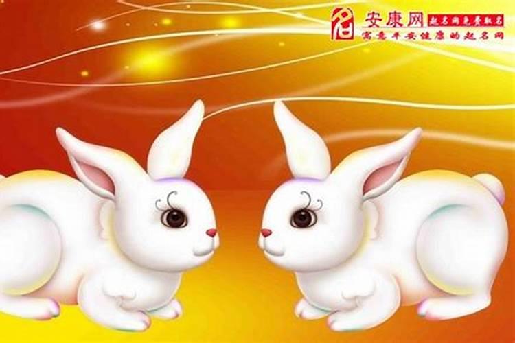 1975年属兔是什么命