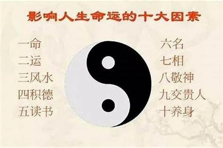 2025年生肖狗82年双喜临门运势
