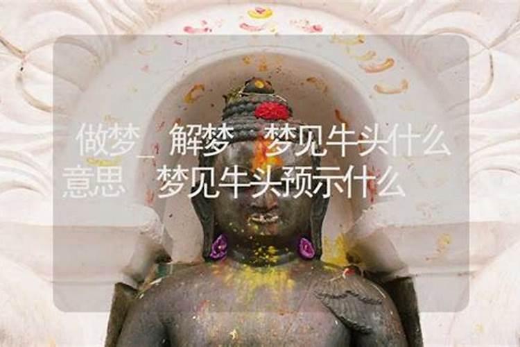 梦见自己家的牛头断了？