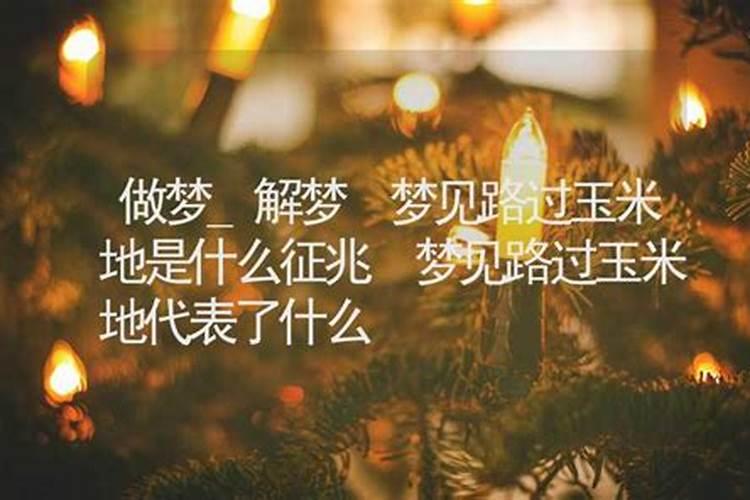 什么样的八字是没有婚姻的人有何说法？