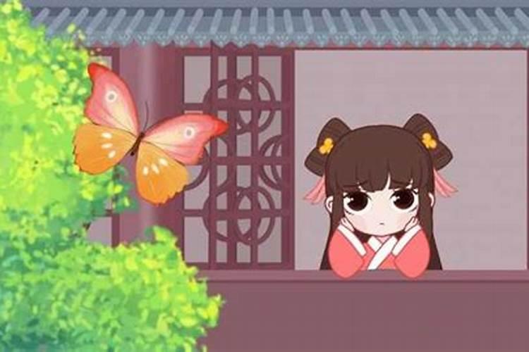 鹅掌柴是招财树吗,鹅掌木的风水禁忌及寓意介绍
