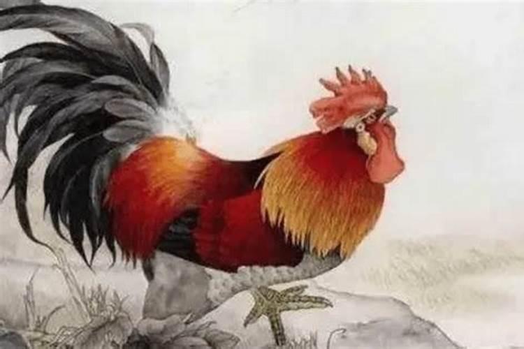 69年属鸡女人后半生命运
