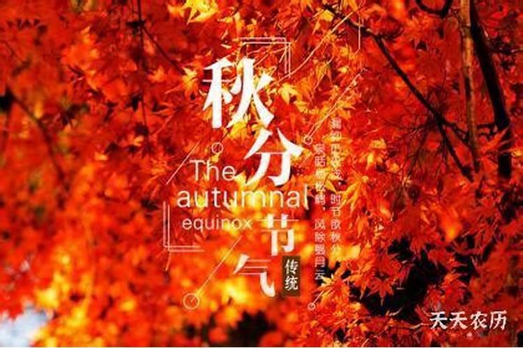 属马考试运气2024年阳历8月20好不好