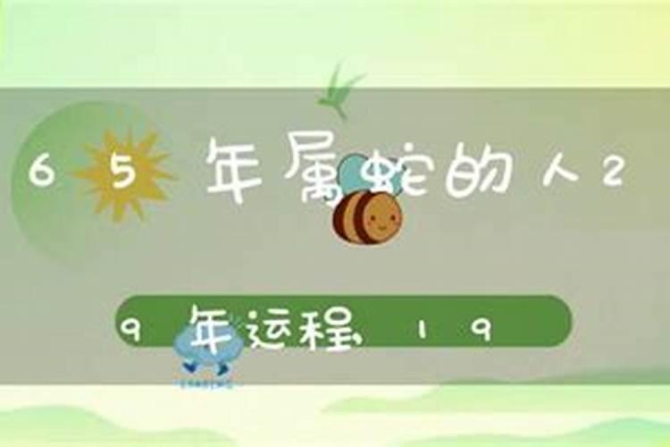 2025年1965年属蛇的运程