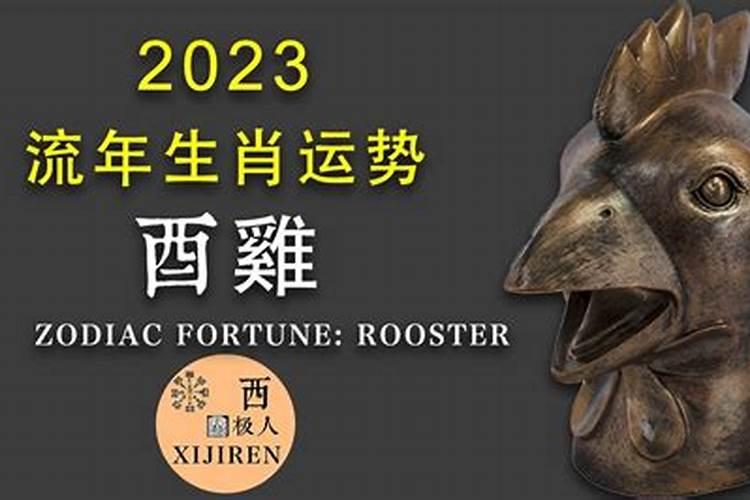 属鸡犯太岁戴什么最旺