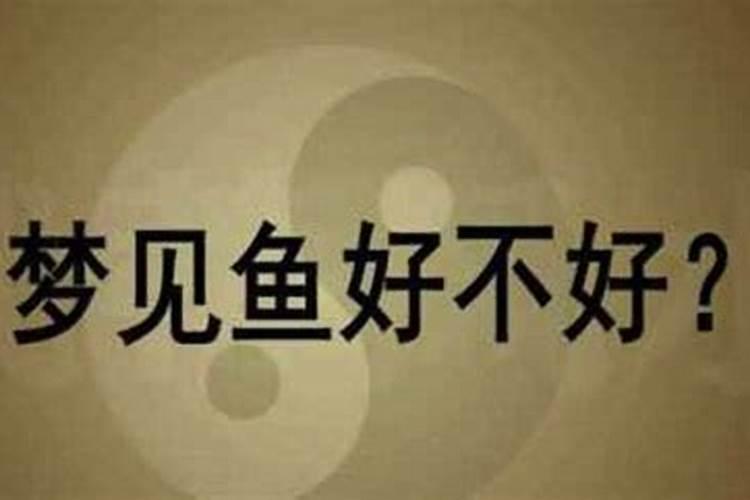 女人怀孕梦到鱼是什么征兆,女人梦见好多鱼是胎梦吗