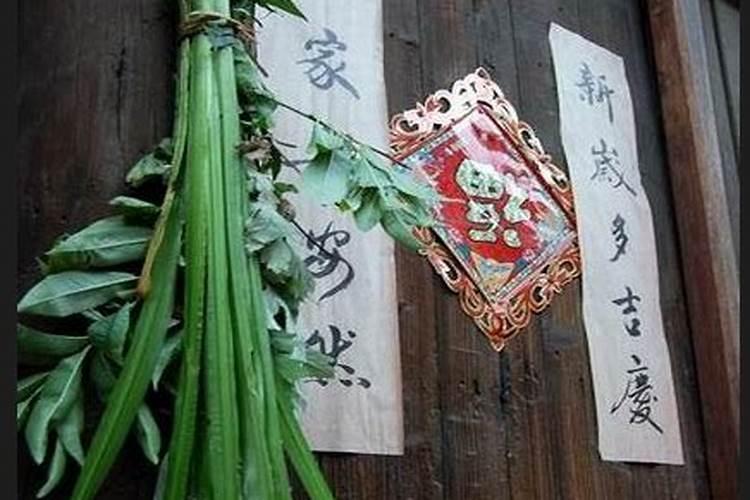 端午节为什么挂菖蒲和艾草