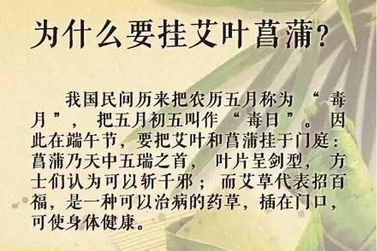 端午节为什么要挂菖蒲