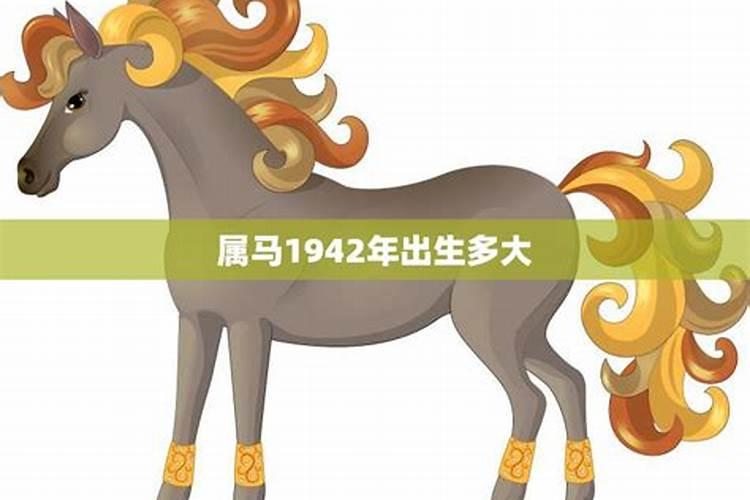 属马2024年全年运势如何