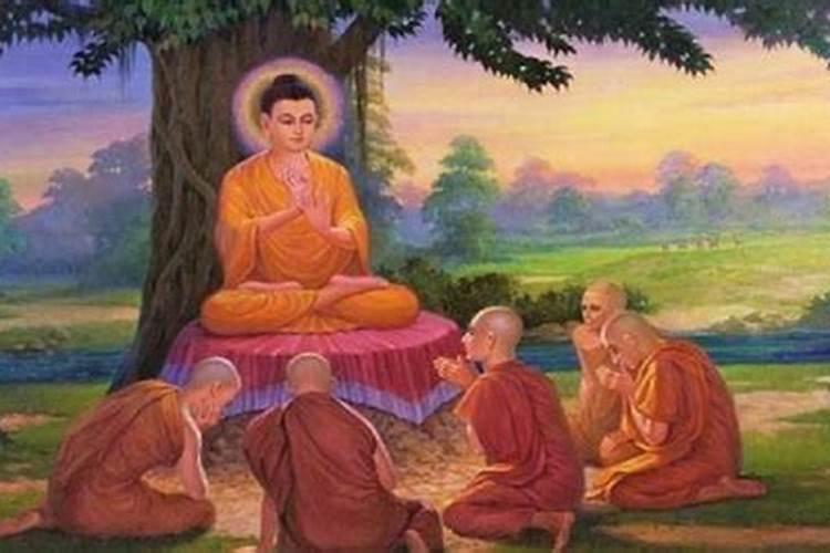 属兔人的贵人和小人
