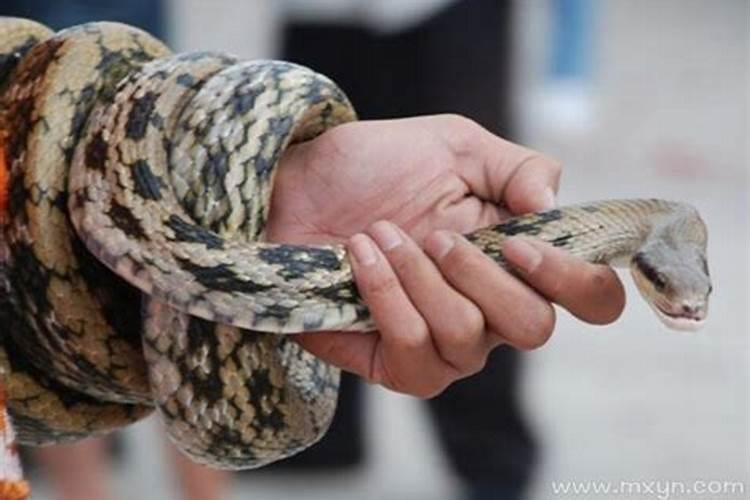 梦见女人哭是什么预兆