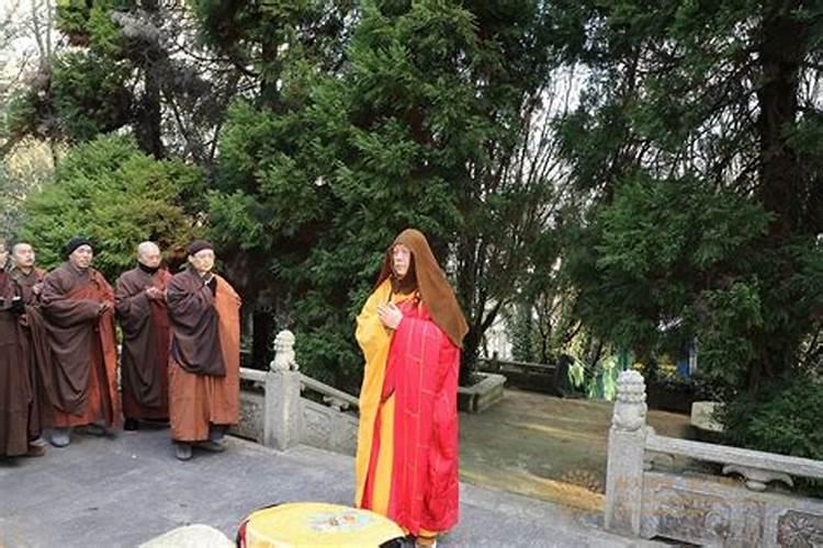 梦见死去的妹妹活了的预兆