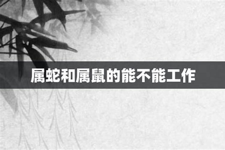 属蛇的和属鼠的合不合
