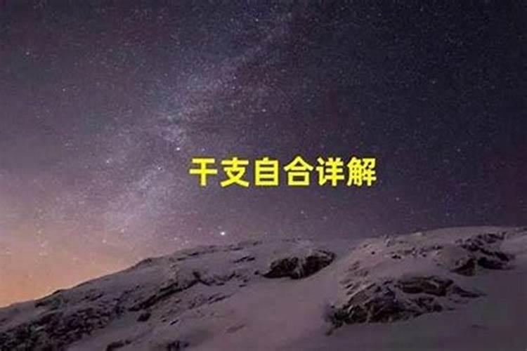 1982年九月初九命运午时