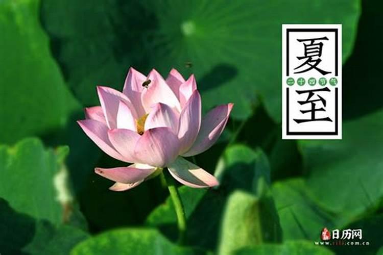 2024年立夏是几月几号几点几分具体时间